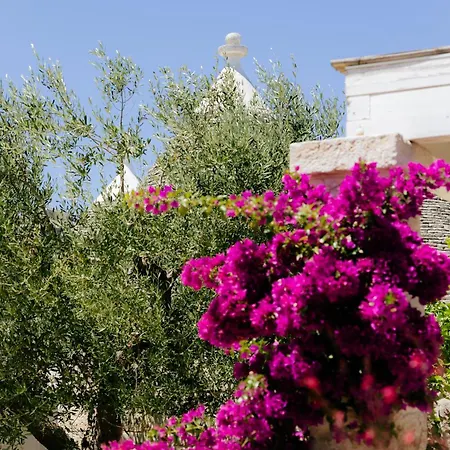 Cummersa Monte Olimpo 5 Semesterbostad Alberobello