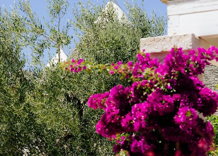 Cummersa Monte Olimpo 5 Dom wakacyjny Alberobello